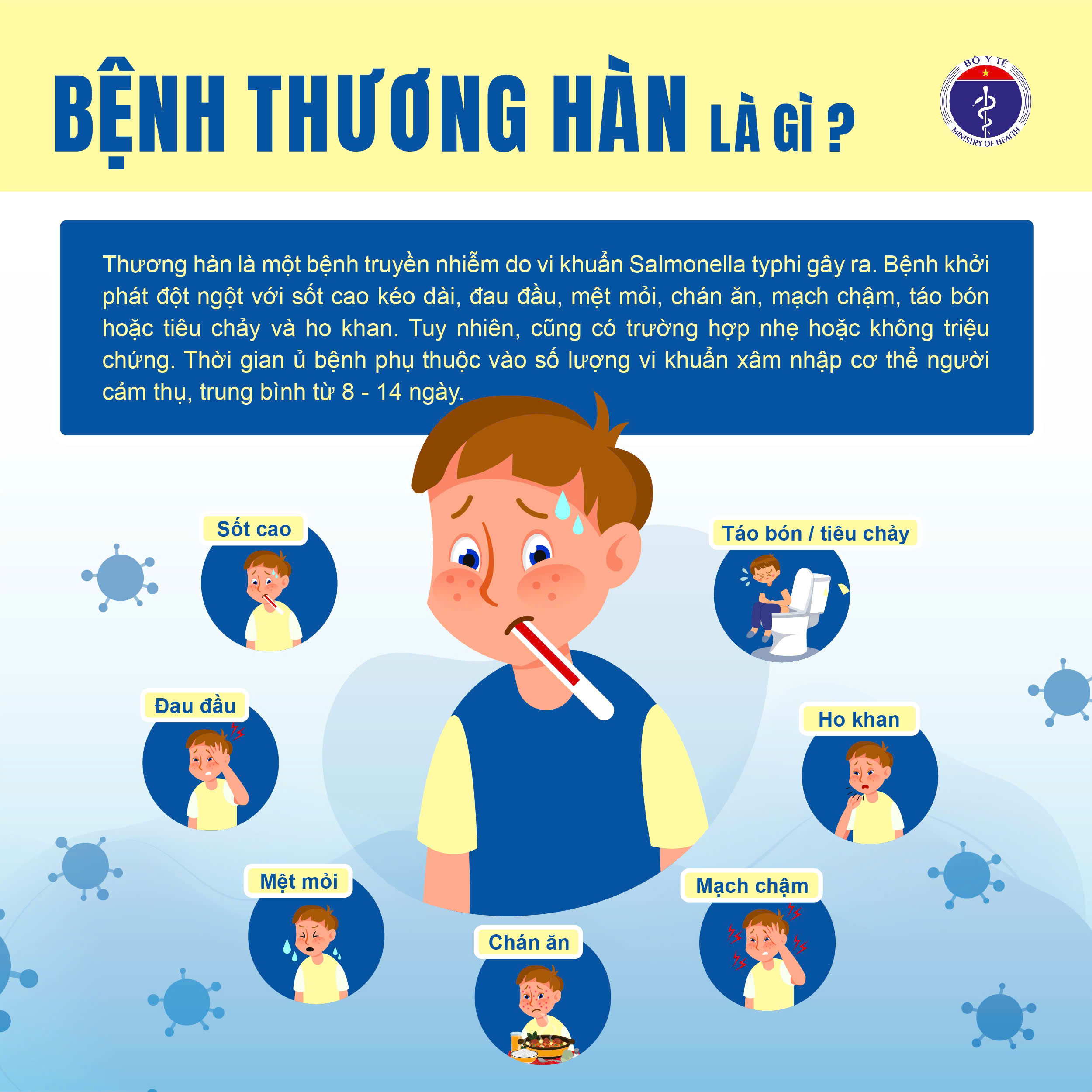 Bệnh thương hàn: Nguyên nhân, đường lây truyền và cách phòng tránh hiệu quả